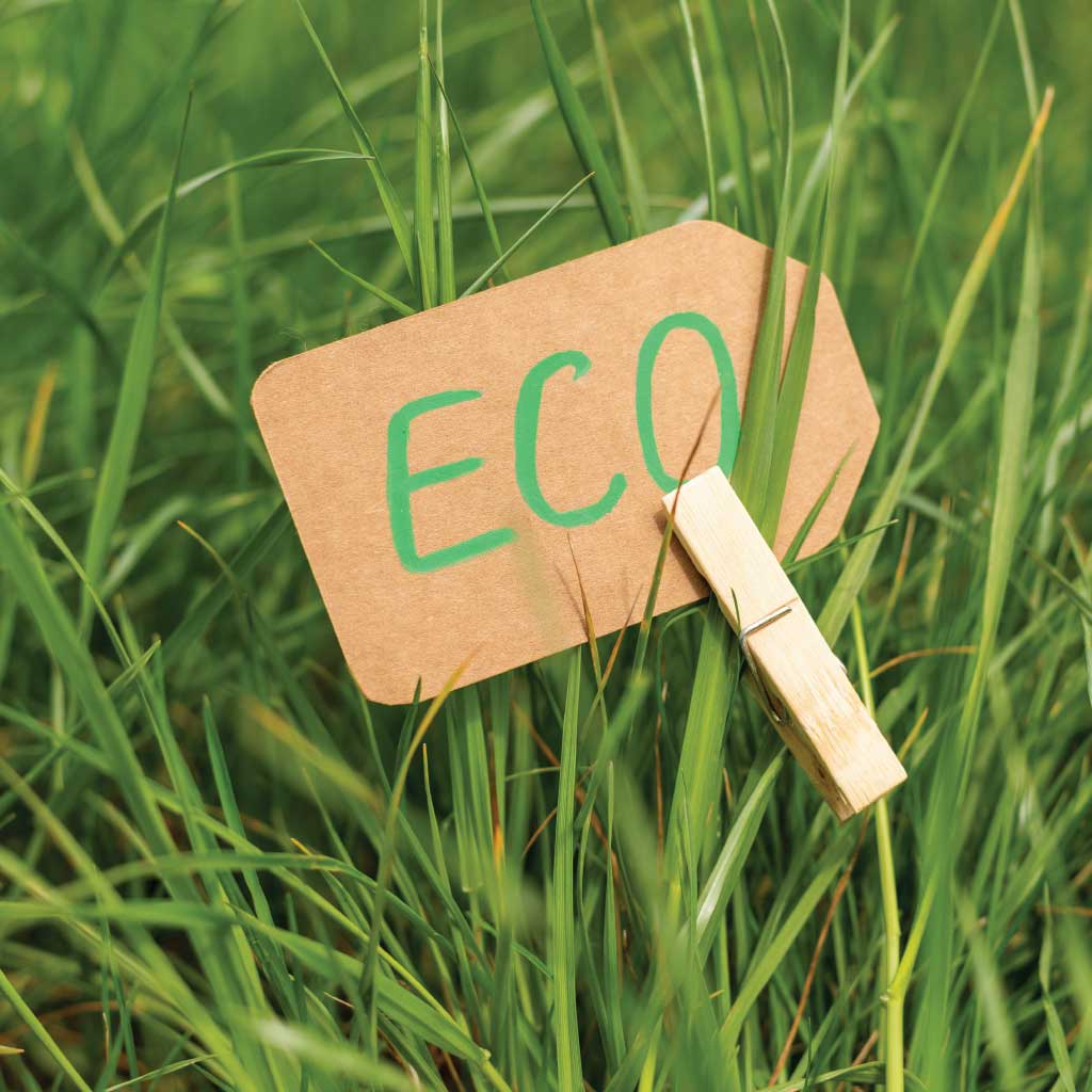 Creare un Giardino Eco-Friendly nel Tuo Spazio: Consigli Pratici per una Bellezza Sostenibile
