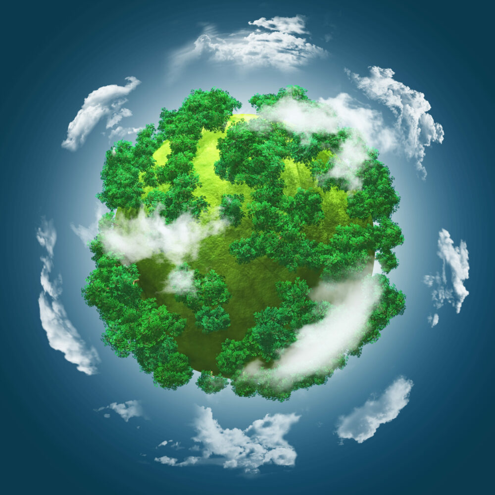 Esplorando l’Ecologia: Concetti Fondamentali e Importanza nell’Ambiente