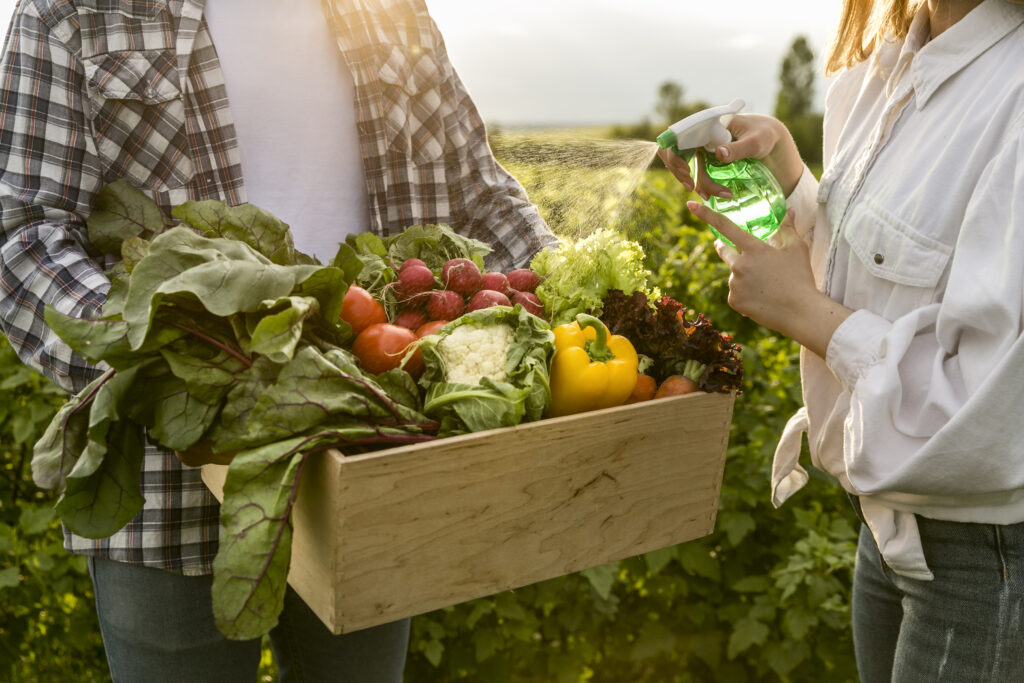 cibo biologico: ecco 5 buone ragioni percui vale la pena.